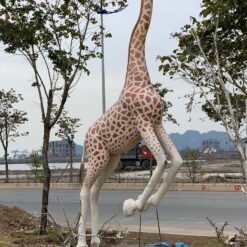 hình huơu cao cổ