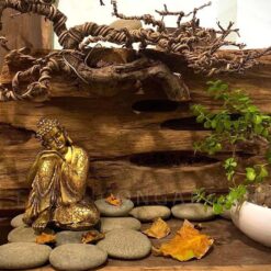 tượng phật an nhiên 3