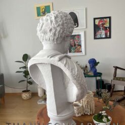 tượng bán thân marcus aurelius trang trí decor
